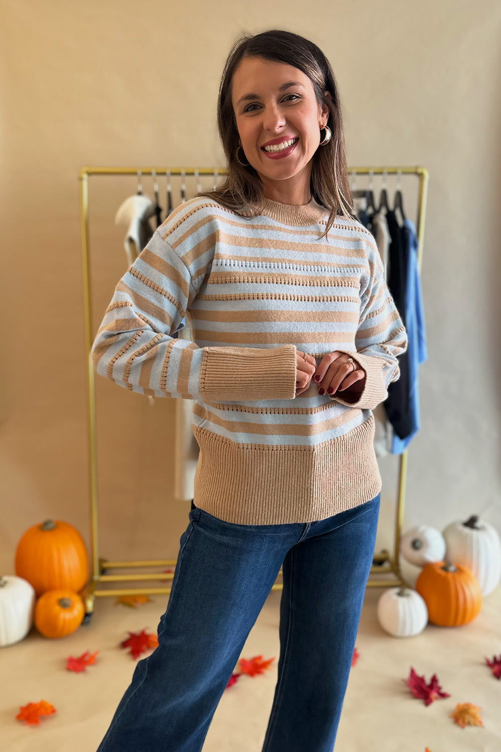 Taupe and Light Blue Stripe Sweater